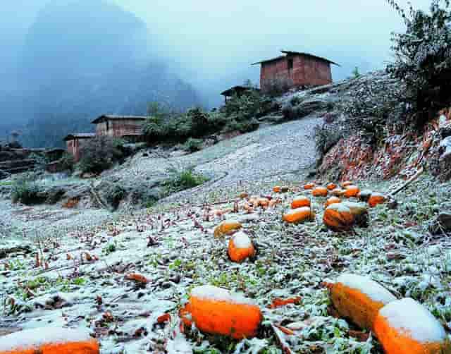 让我们在顶端相见，然后微笑致意