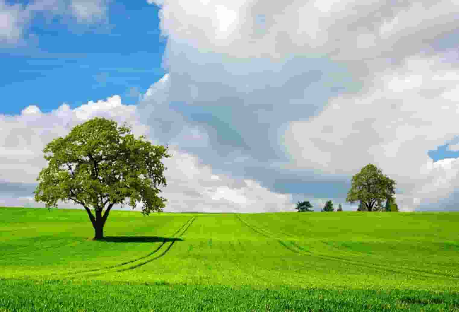 20人被锡林浩特市检察院提起公诉！