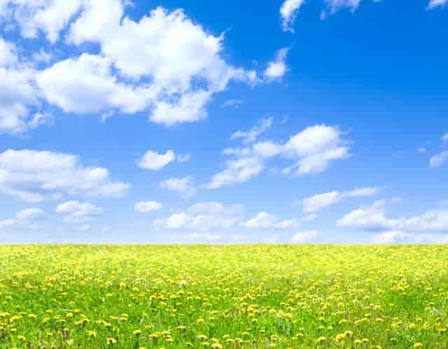 山东最好的五所高中，只要能考上，就可以上重点大学