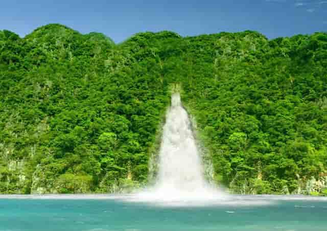 暑期来了，大学生们更偏爱在独立书店学习