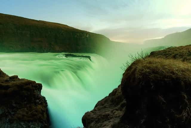 袖虎宠物店揭秘行业骗局：开宠物店有没有暴利？(1)