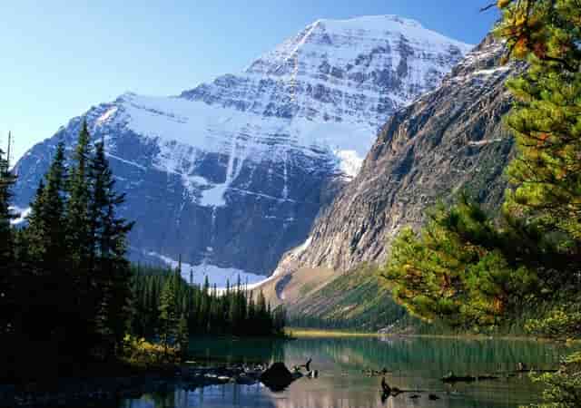 2021年安徽公安厅