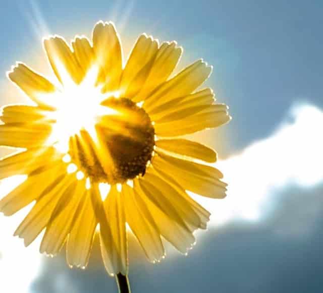 动力电池“争霸赛”：宁德时代暂失第一 这家非上市公司后来居上？