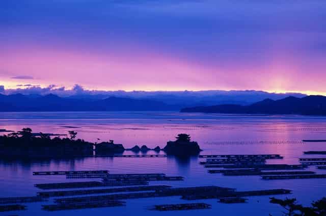 考点门口的“花式”接考！