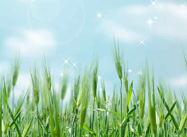 山西野鸡大学遭曝光，一共有9所，毕业证如废纸，21考生擦亮眼睛