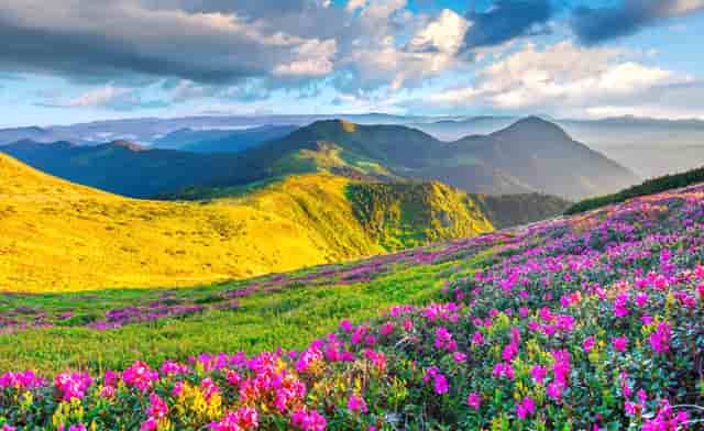 原仙童半导体执行副总裁Izak Bencuya 简介