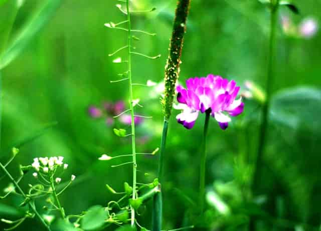 为什么每年有几百万人考二级建造师？