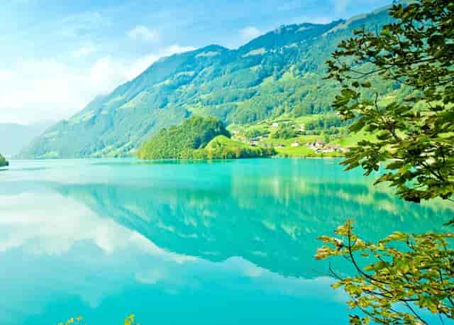 袖虎病猫攻略：猫不正常掉毛的五大原因，你知道几个？