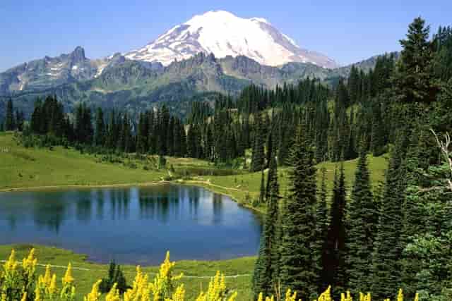 高考分数“比上不足比下有余”：该选985冷门专业还是211热门专业