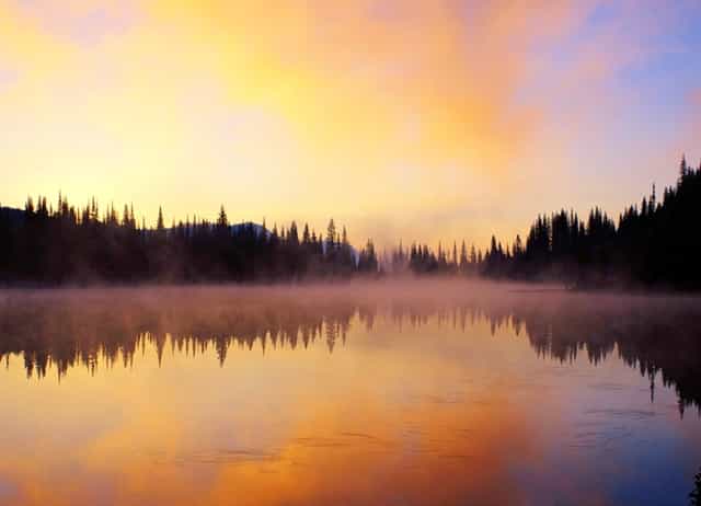 那个让中国损失7000亿的北大学霸，被判10年后，如今提前出狱了