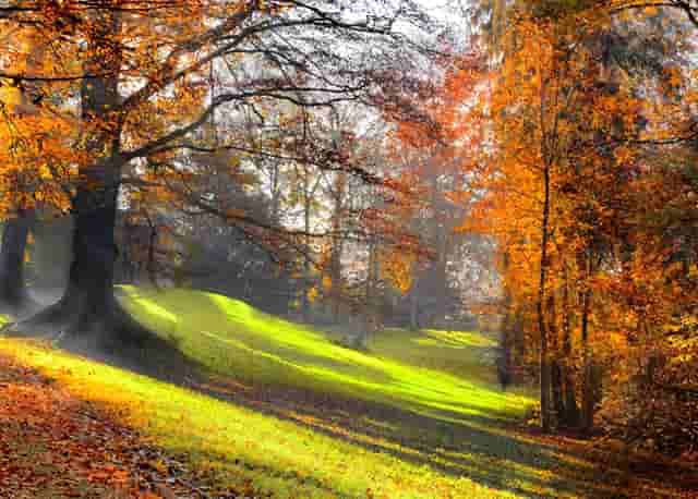 上半年销量上涨52％，捷豹路虎成为豪华品牌“头牌”，还有多久？