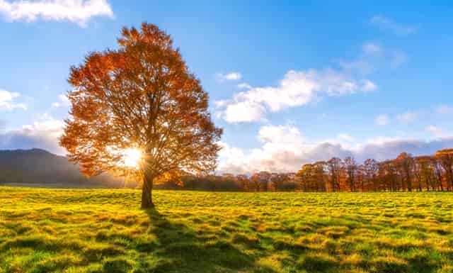 错过这件事，考过二建成绩也作废！