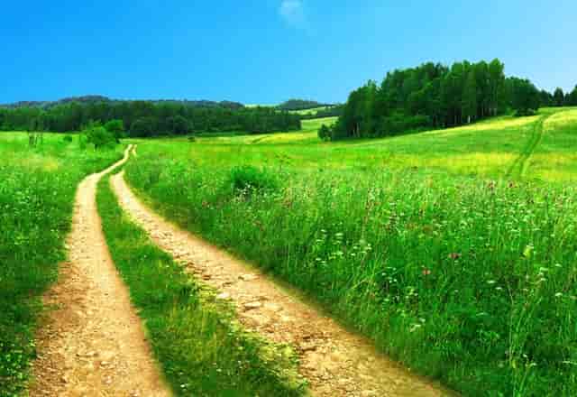 西比曼和杨森进一步深化合作  共同推动细胞治疗产品中国商业化进展