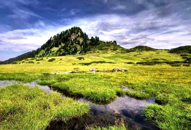 胡海泉灥喜锅好吃的原因