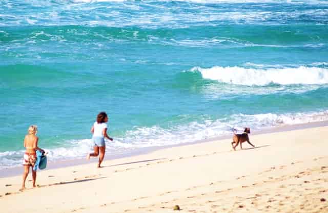 火兔携手非遗文化，讲好传统文明故事