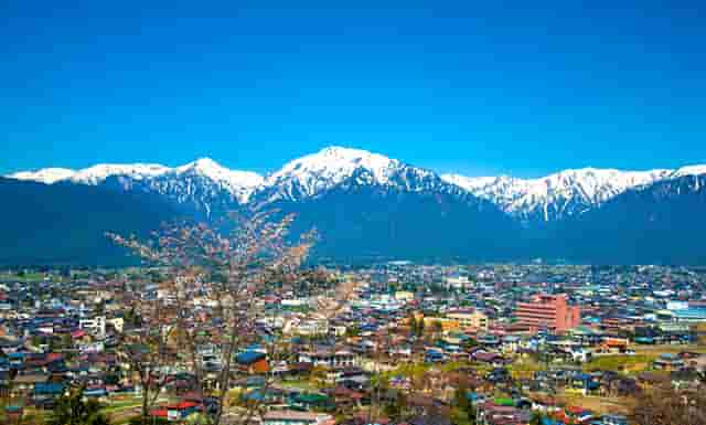 时尚盘发技巧师(优雅又时尚的盘发造型)