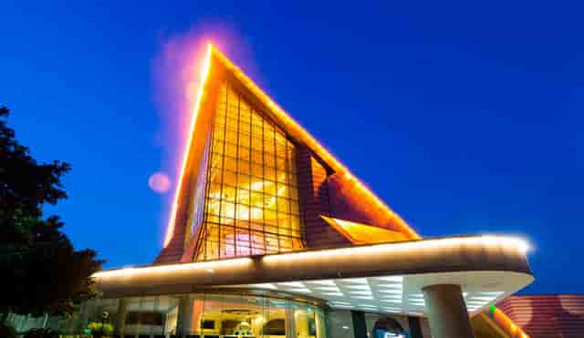 袖虎病猫攻略：猫咪睡姿的含义