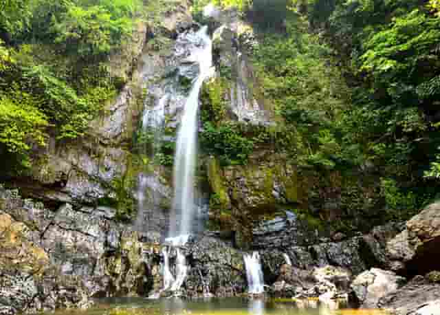 东方时尚曲线行驶技巧视频(东方时尚 曲线行驶)