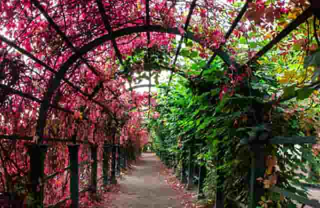 时尚达人穿衣技巧(男士时尚达人穿衣搭配)