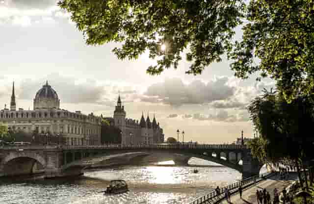 袖虎病猫攻略：猫咪多囊肾是什么