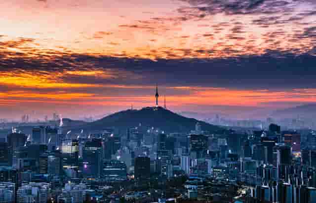 袖虎病狗攻略：狗狗白内障的三大症状？