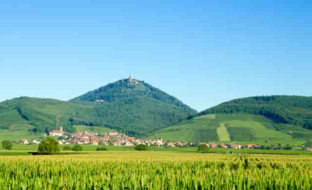 胡海泉灥喜锅教你做火锅鸭肠