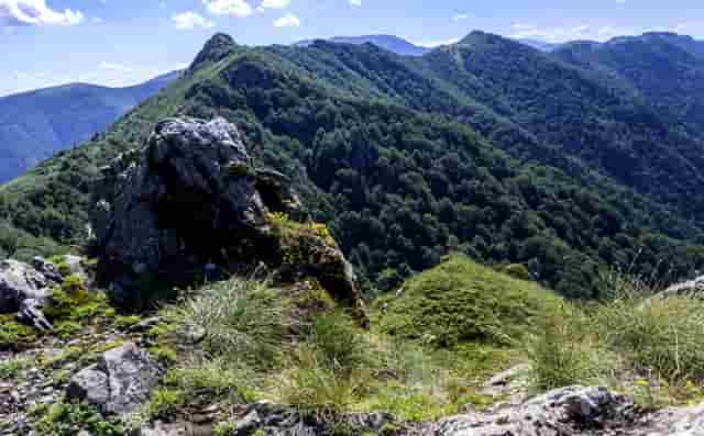 蔡嘉珍榮獲註冊理財規劃師資格