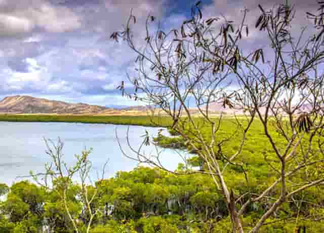 石家庄东方时尚约车技巧(石家庄东方时尚驾校约车)