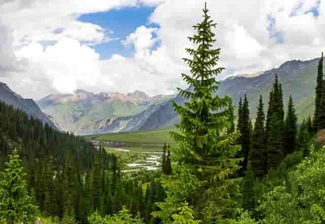 黑色大衣搭配衣服技巧时尚(黑色毛呢大衣里面搭配什么衣服)