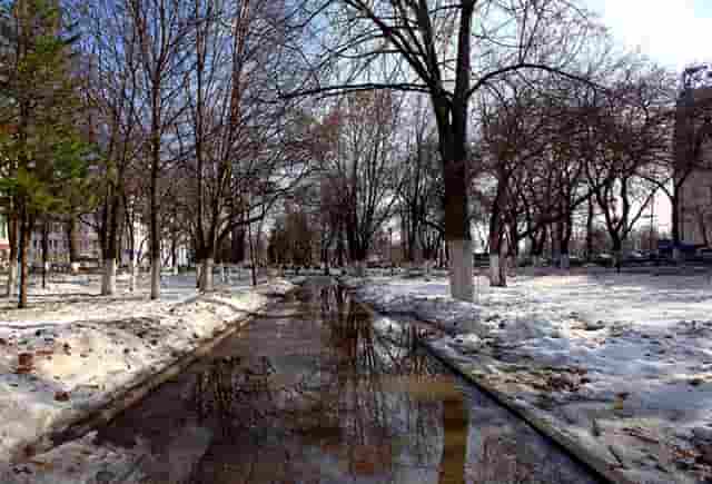 时尚博主的技巧(日本时尚博主)