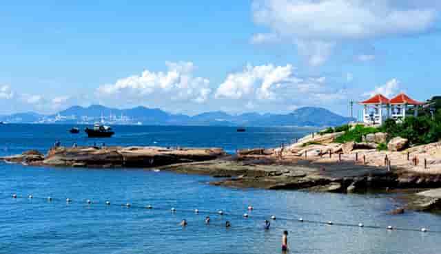 袖虎病猫攻略：猫猫上火那些事