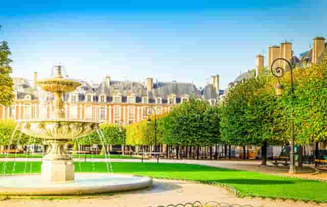 袖虎病猫攻略：猫的多囊肾是什么