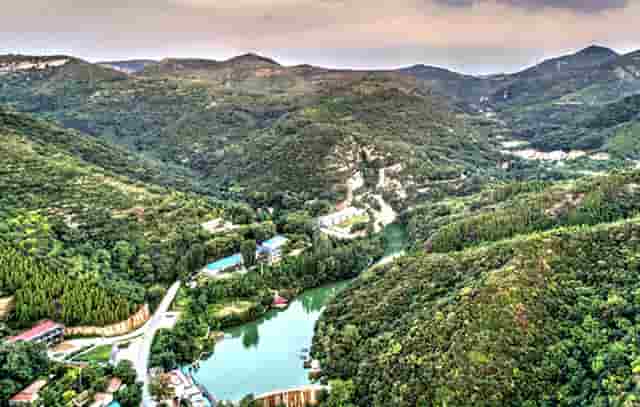 袖虎病猫攻略：猫指甲开裂可怕吗？别把自己吓到了