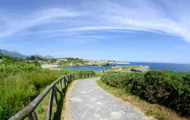 火锅鸡这样吃很美味！胡海泉灥喜锅教你秘方