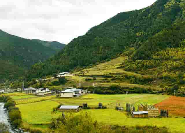 胡海泉灥喜锅企业分享鸭肠火锅新吃法！