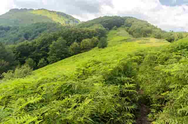 炫舞时尚中心搭配技巧(炫舞时尚149关sss具体搭配)