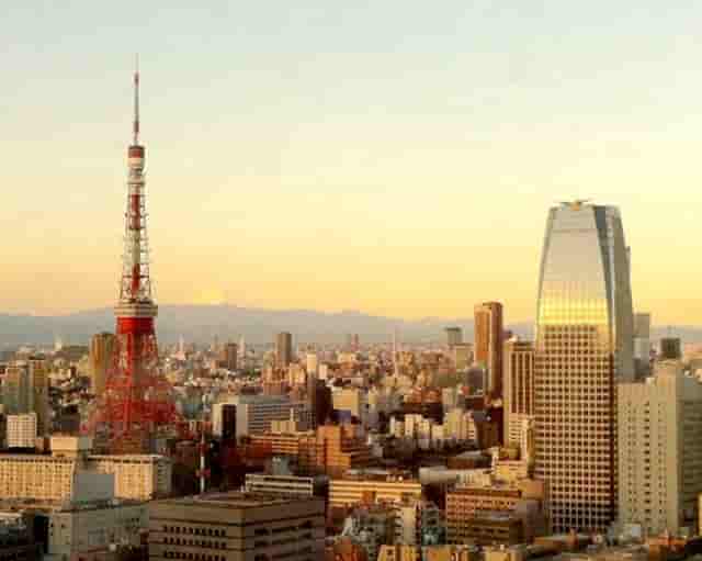 看袖虎如何在宠物行业中成为投资新宠！